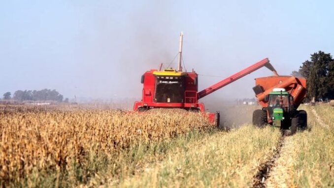 exportaciones-agroindustriales-696x392