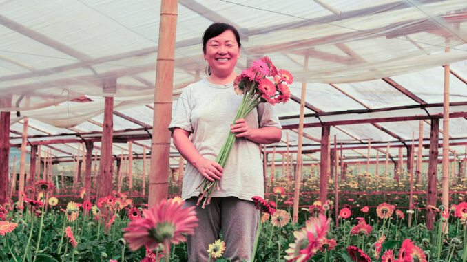 floricultura-2