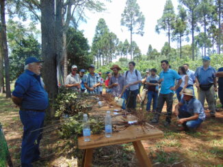 Imçagen ilustrativa