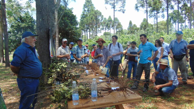 Imçagen ilustrativa